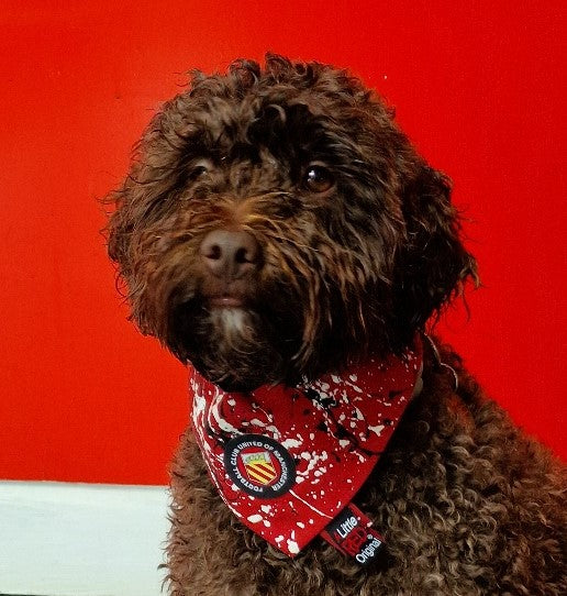 NEW Dog Bandana