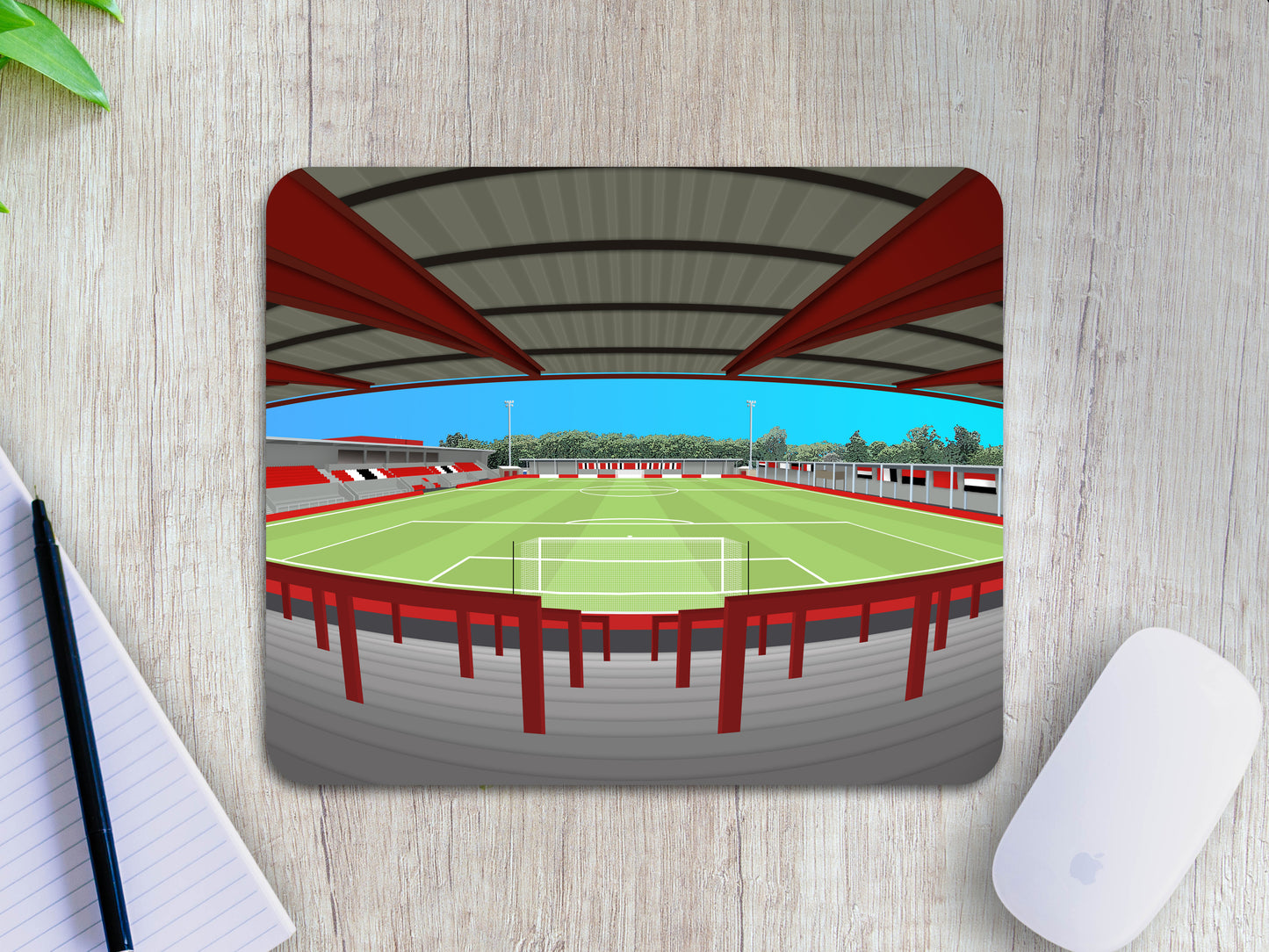 View From The SMRE Mouse Mat