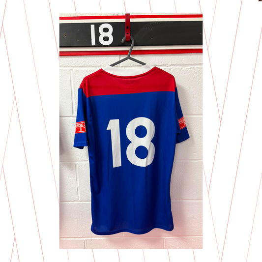 Match Worn Blue Shirt - Number 18