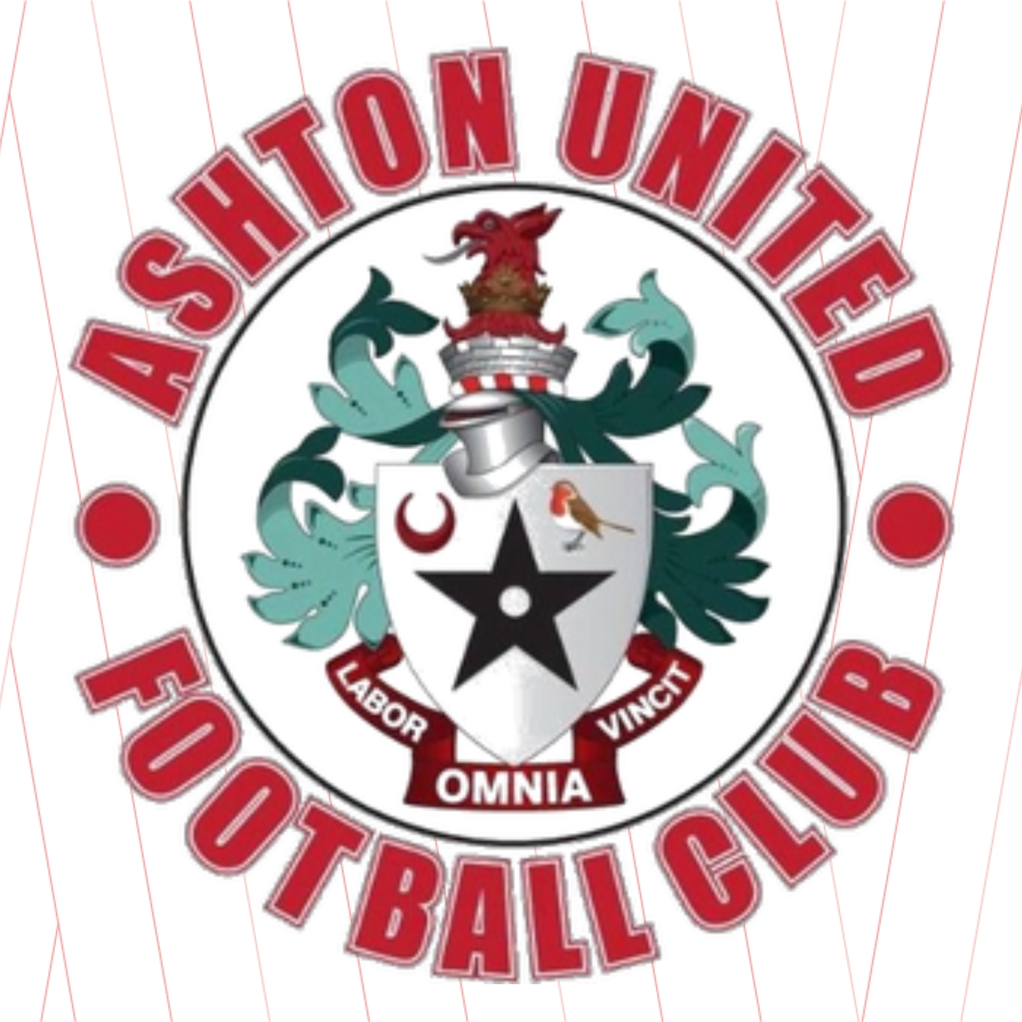 Ashton United - Physical Programme (Collect at ground)