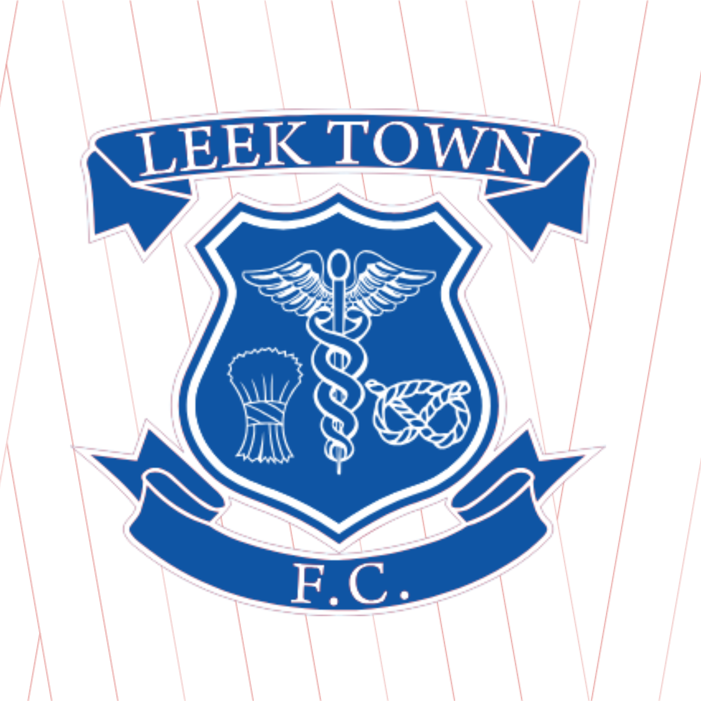 Leek Town - Physical Programme (Collect from ground)