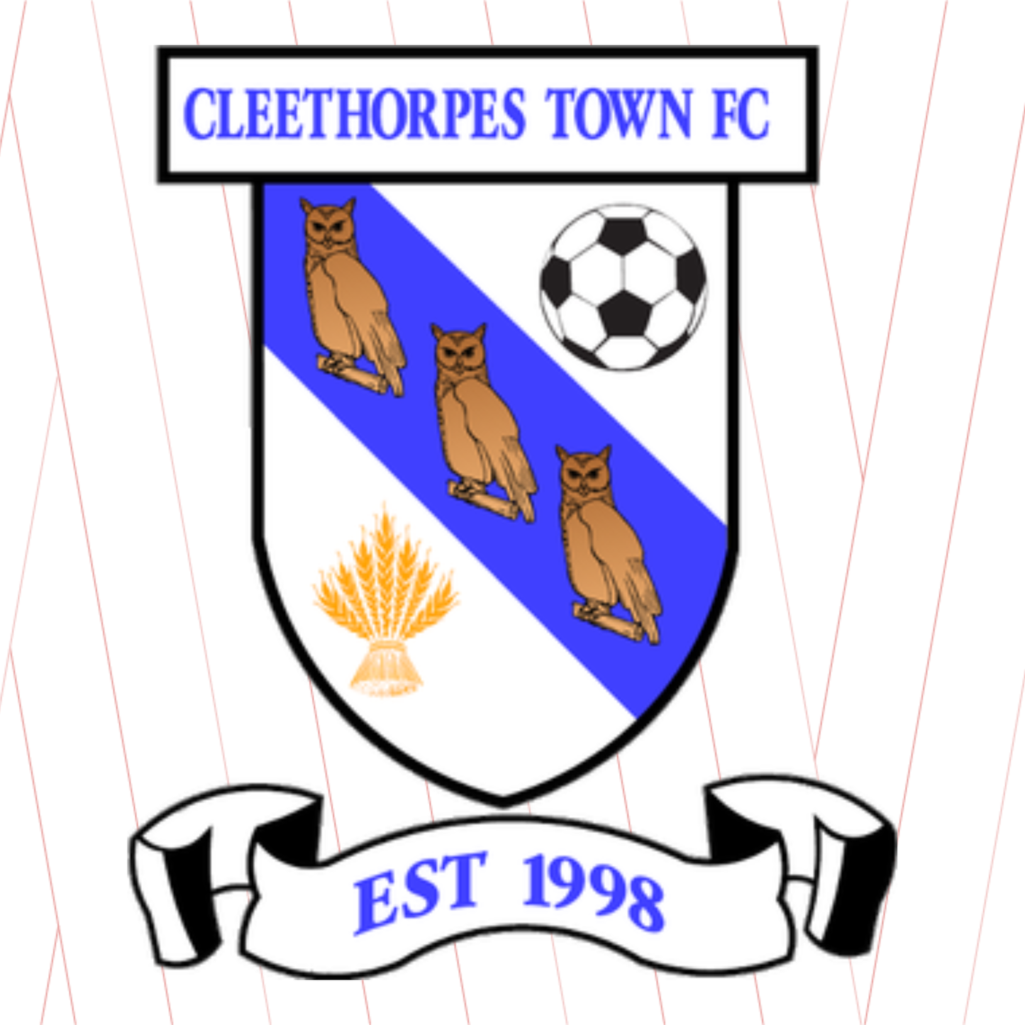 Cleethorpes Town - Physical Programme
