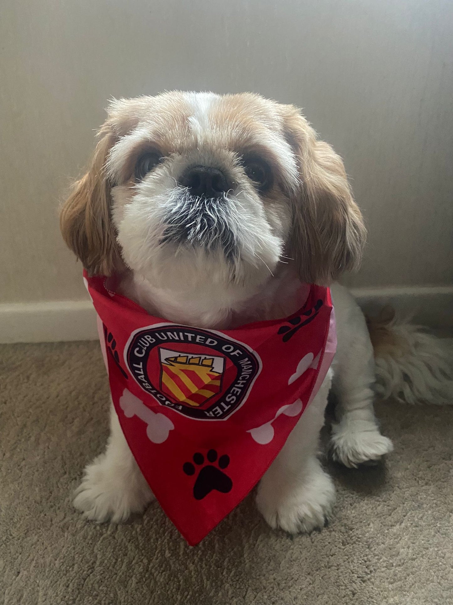 Red Dog Bandana