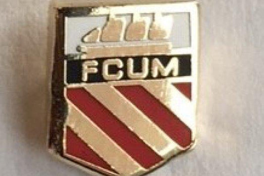 Shield Pin Badge